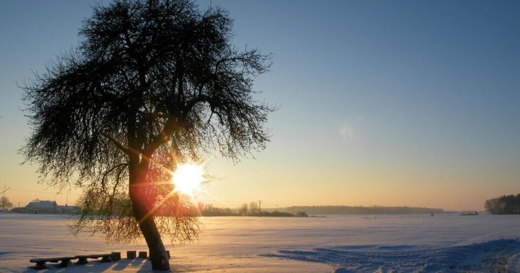 Sunset over peaceful snow-covered field with tree silhouette in foreground